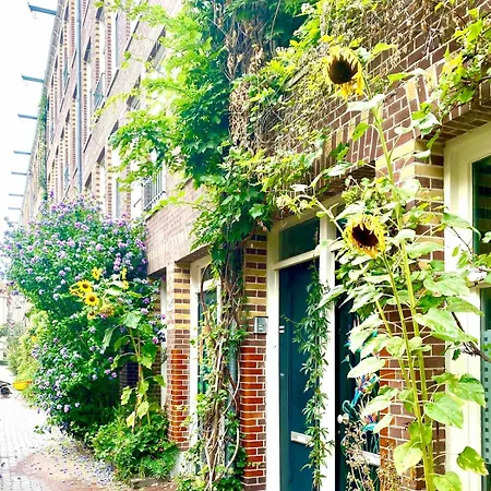 Floor At Westerpark And Jordaan *